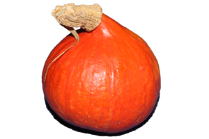 Hokaidokürbis