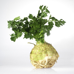 © kameel - Fotolia.com